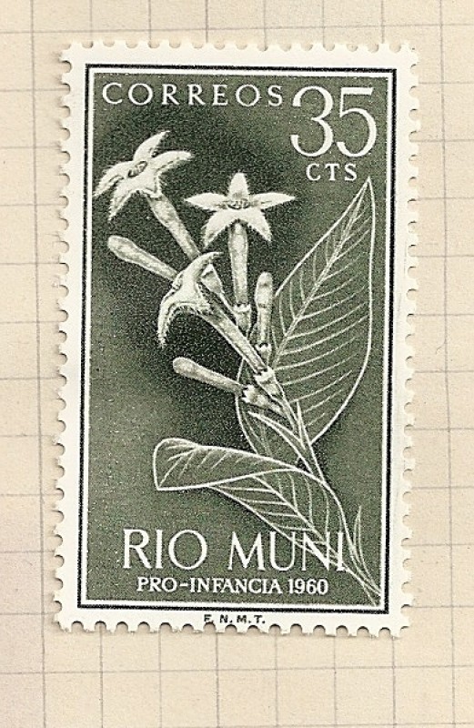 Rio Muni, Pro infancia