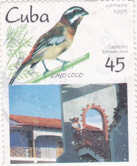  Cayo coco y ave cabrero