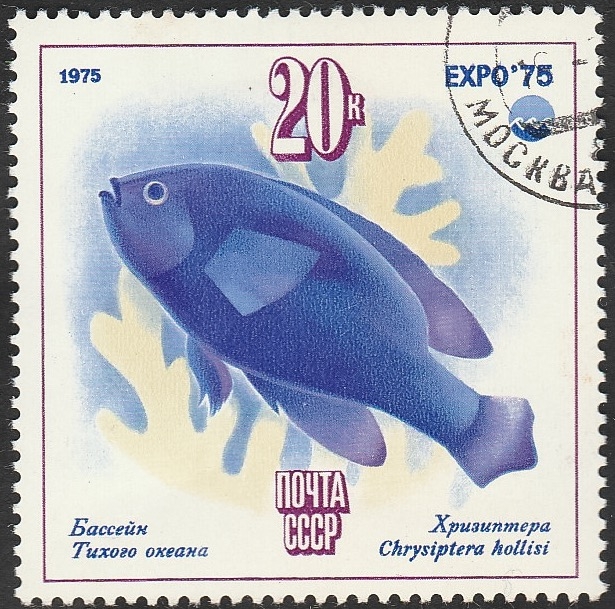 4166 - Oceanexpo 75, exposicion internacional en Okinawa, chrysiptera hollisi 