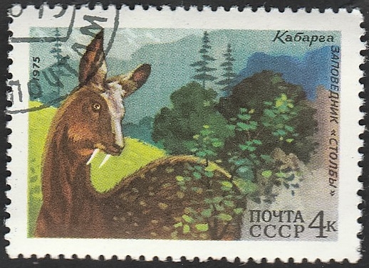 4177 - Fauna rusa
