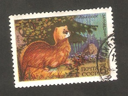 4178 - Fauna de la URSS, Hurón