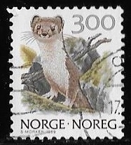 Noruega-cambio