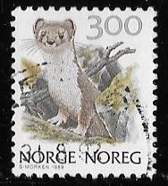 Noruega-cambio