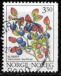 Noruega-cambio
