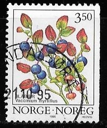 Noruega-cambio