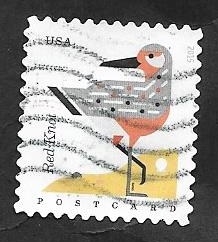 4815 - Ave red knot