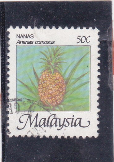 Ananas (piña)