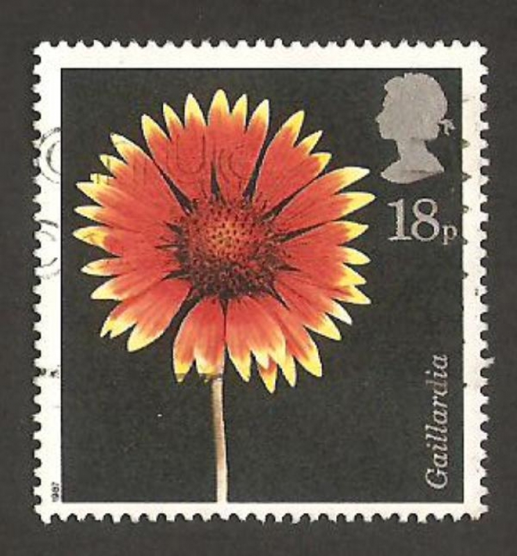 1256 - flor gaillardia 