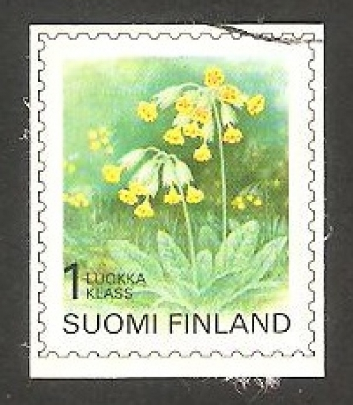 1448 - Flor primula veris 