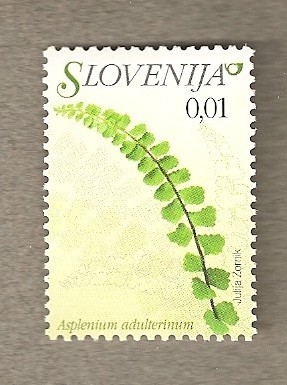 Flora eslovena