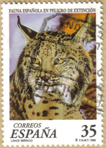 FAUNA - LINCE IBERICO