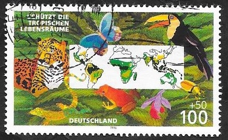 1699 - Fauna tropical