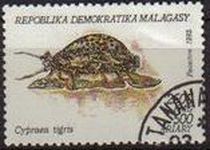 MADAGASCAR 1992 Michel 1422 Sello Moluscos Cypraea tigris MALAGASY 500A
