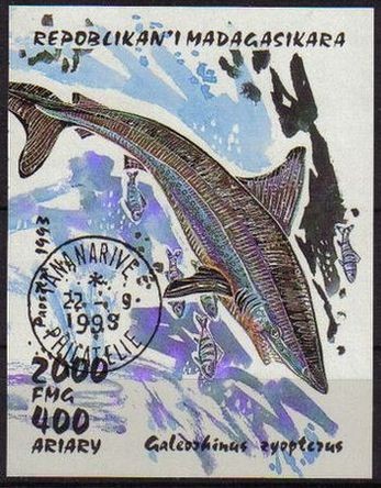 MADAGASCAR 1993 Scott 1297 Sello Nuevo HB Tiburon Shark Galeorhinus zyopteru Matasellos de Favor Pre