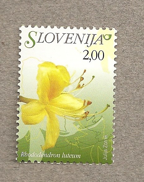 Flora eslovena
