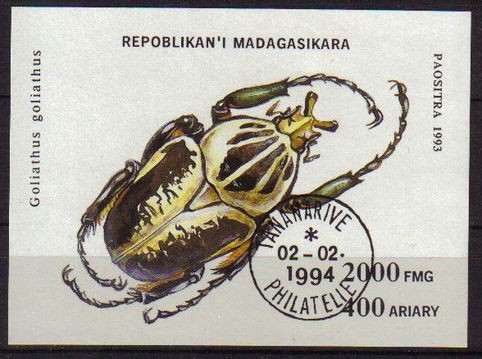 MADAGASCAR 1993 Scott 1223 Sello Nuevo HB Escarabajo Beetles Goliathus Goliathus Matasellos de Favor