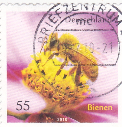 FLOR Y ABEJA