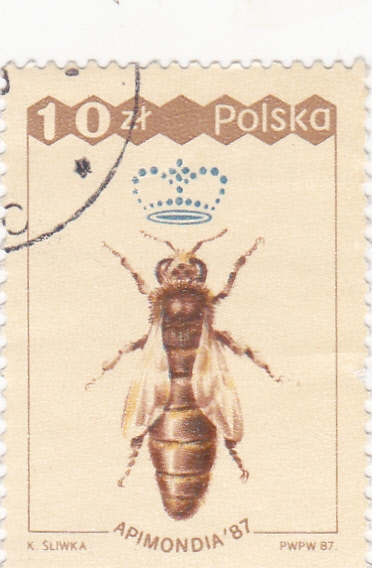 abeja reina