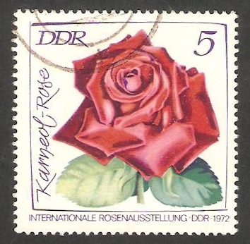 1450 - Exposición internacional de rosas 