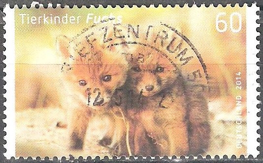Los animales jóvenes,zorro (a).