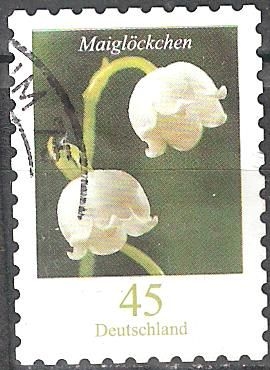 Flores - Lirio del Valle (Maiglockchen).