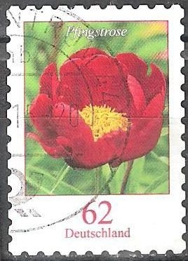 Flores - Peonía (Paeonia).