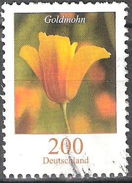 Flores -  La amapola de California (Eschscholzia californica).