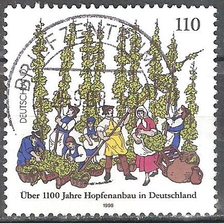 1100 años de cultivo de lúpulo en Alemania. 