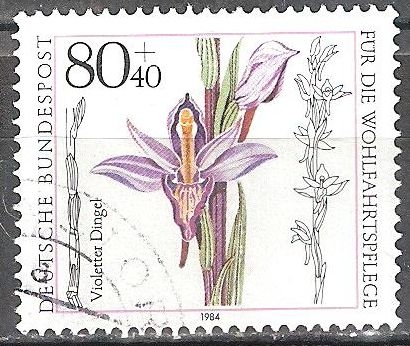 Por el bienestar, Orquídea: Violeta Limodore.