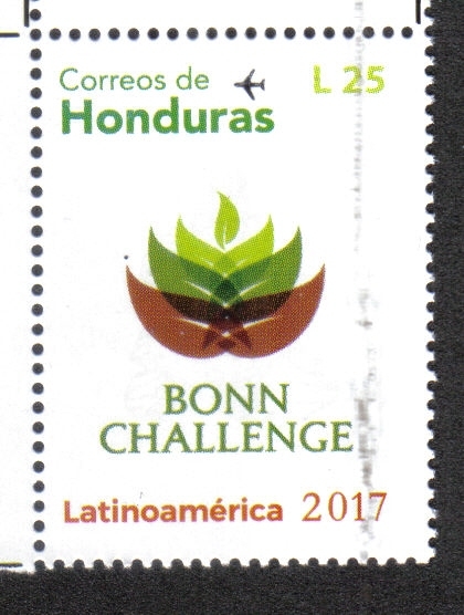 Bonn Challenge