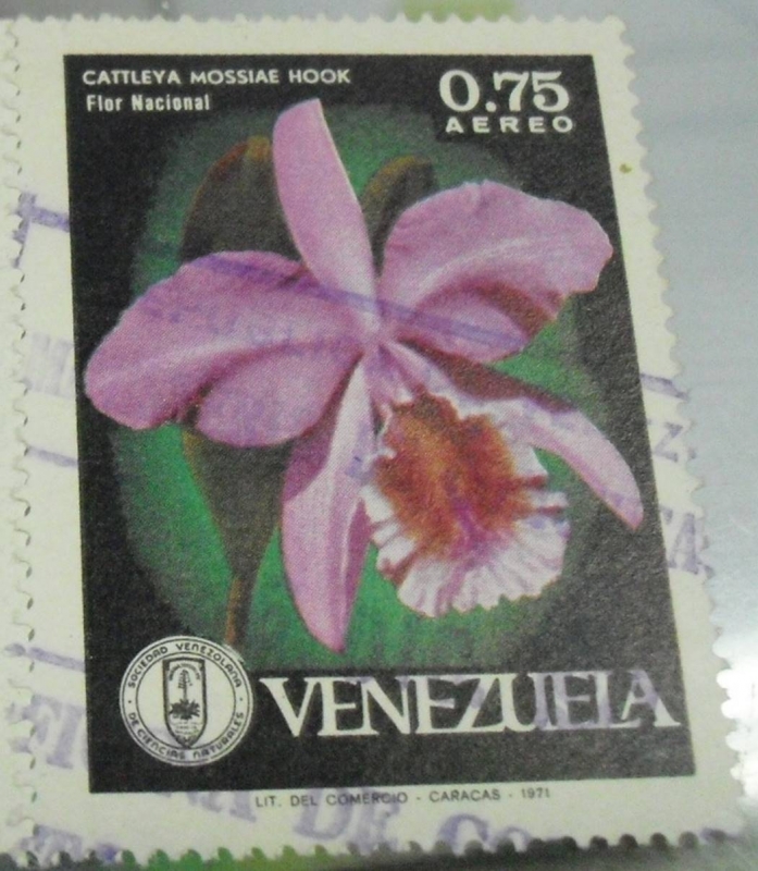 Flor Nacional 