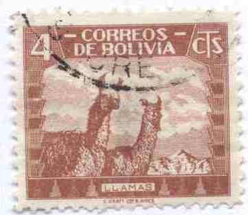 Fauna boliviana