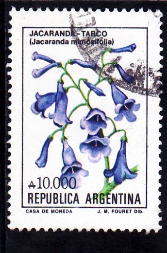 flores- JARANDA-TARCO