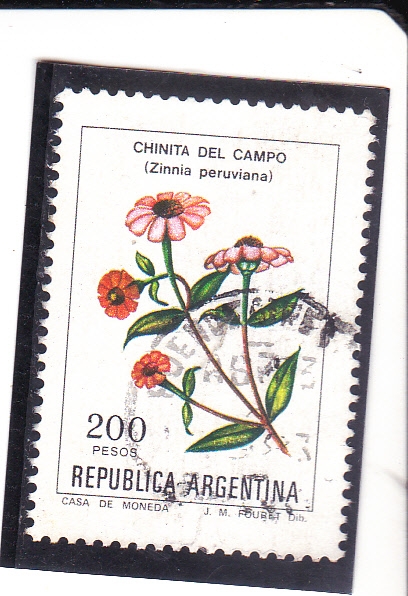 flores- CHINITA DEL CAMPO