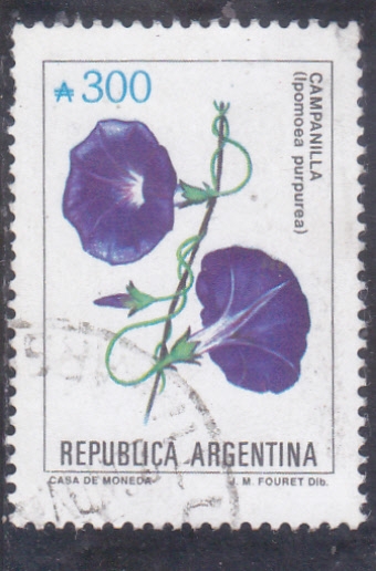 flores- CAMPANILLA