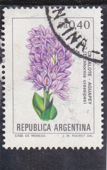 flores- CANALOTE-AGUAPEY