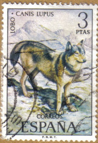 LOBO - Fauna Hispanica