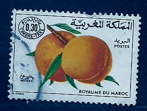 Melocoton de Marruecos