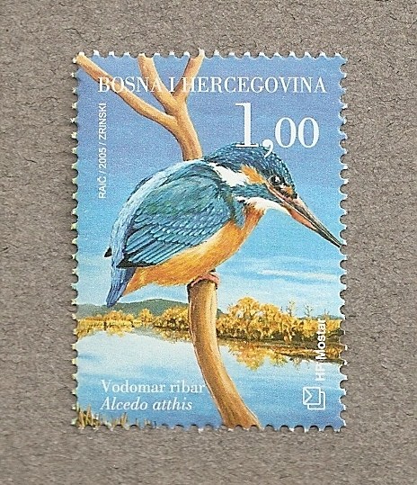 Aves del valle del Neretva
