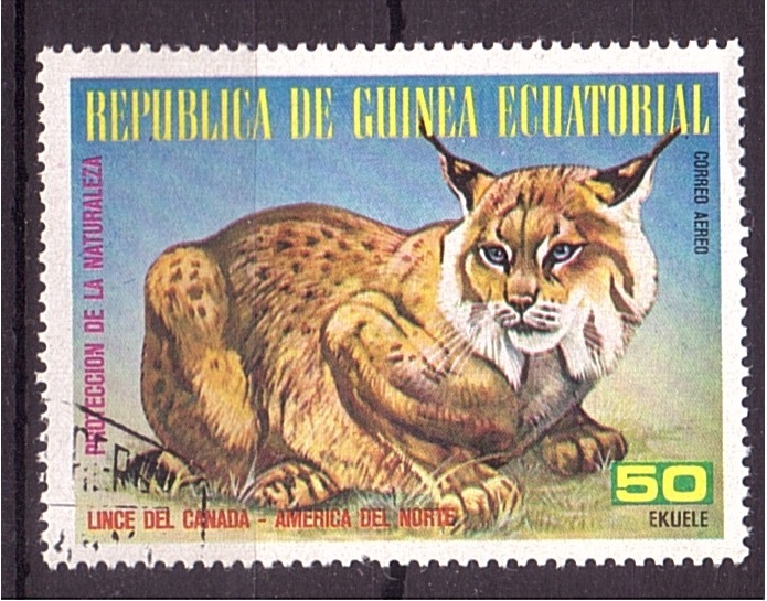 serie- Fauna de America del Norte