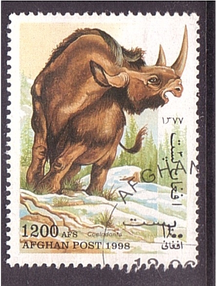 Rinoceronte prehistórico