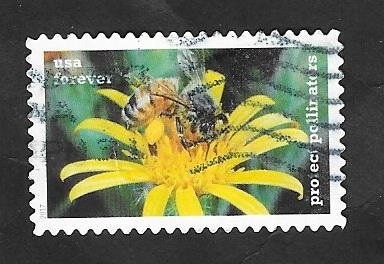 Flor proteci pollinators