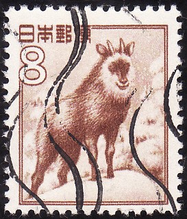 SEROW JAPONES(Capricornis crispus)