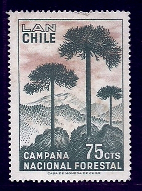 ña nacional forestal