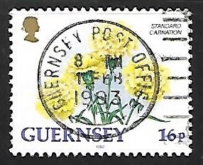 guernsey - Clavel estandart