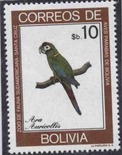 Fauna boliviana