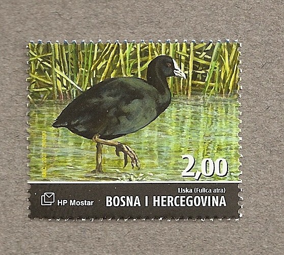 Aves del valle del Neretva