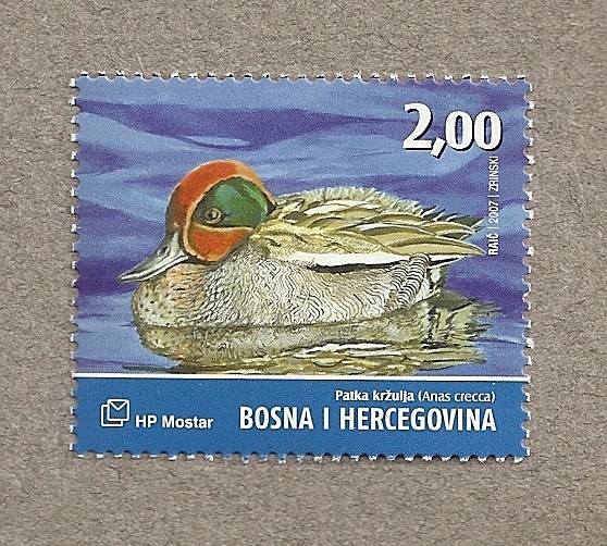 Aves del valle del Neretva