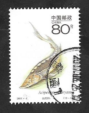 3878 - Fauna protegida, esturión chino