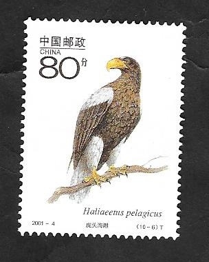 3880 - Fauna protegida, águila de Steller